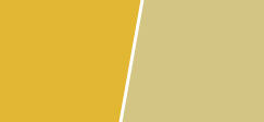 实色水性色浆-内用黄