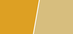 实色水性色浆-内用深黄