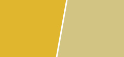 实色水性色浆-亮黄